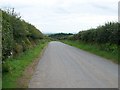 The top of Lon Bettris