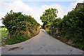 Heading west on the Lane near Twitchen Farm