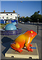 Larkin toad, Hull (23)