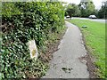 Milestone in the hedge on the A146