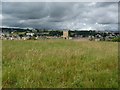 Grassy field opposite Richmond Castle