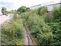 Nature takes over the St Helens Junction branch