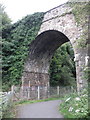 Railway bridge, west of Okehampton