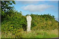 Stone cross nr St Clether