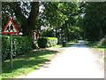 Straight road past Herringswell Manor stables