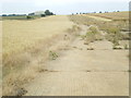 SK9684 : Crops n Weeds on Former WWII Airfield by Tom Howard
