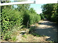 Former entrance to Balls Park