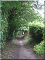 Bridleway - School Lane