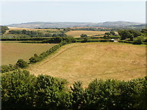 SZ4887 : Carisbrooke: view southeast from castle by Chris Downer