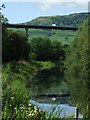 Forth & Clyde Canal