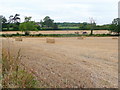 Bale collecting near Staunton