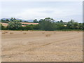 Arable land on the Gloucestershire/Worcestershire border