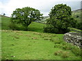 Footpath above Walden Beck