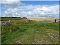 Arable fields to the north of Bamburgh