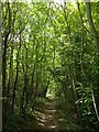 Footpath, Porton