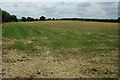 Farmland near Pebworth