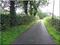 H5928 : Road at Killycoghil by Kenneth  Allen