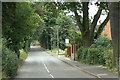 Bestwood Lodge Drive