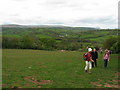 Fields near Llangua