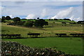 The southern slopes of Werneth Low