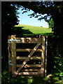 Lodge Hill Gate