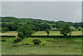 Farm land south of Pontrhydfendigaid, Ceredigion