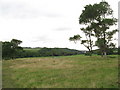 ST0767 : Fields near Lower Porthkerry Farm by Gareth James