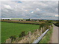 Fields and lane near St. Athan