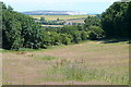 Grassland near Freemantle Gate