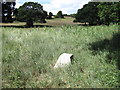 Manor Farm Country Park