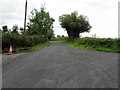 Dernawilt Road, Derrynacloy