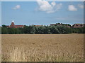 Sarre Oast Houses