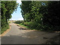 Saxon Shore Way on Chitty Lane