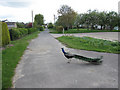 Peacock on Mortimer Lane