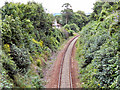 Falmouth Branch Line