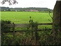 SJ5266 : Fields off Common Lane by Richard Webb