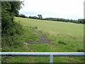 Field on the east side of Thornhill Road, Cardiff