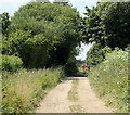 2010 : Hay Lane heading west into Poulshot