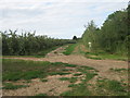 Footpath junction near Boyden Gate