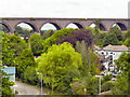 Railway Viaduct, Truro