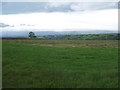 Fields near Wickerslack