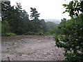 View SE from near the top of Hesworth Common