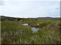 NH3109 : Moorland pool, Leachd na Ruadhaig by Claire Pegrum