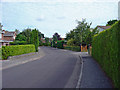 Old Kiln Road: Ridge, Dorset