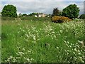 Wildlife Area off Moorwood Moor Lane Wessington