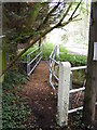 TM3865 : Footbridge over The River Fromus by Geographer