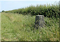 2010 : Horningsham Trig Point