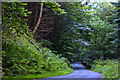 SH7762 : A steep forest road approaching Coed-y-wern by Ian Greig