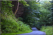 SH7762 : A steep forest road approaching Coed-y-wern by Ian Greig