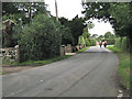 Riding horses, Fen End Road